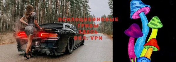 соль курить ск Аркадак
