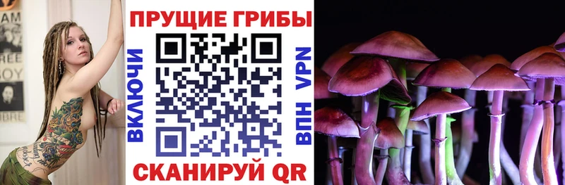 Галлюциногенные грибы MAGIC MUSHROOMS  Сим 